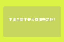 不适合新手养犬有哪些品种？