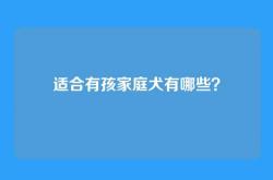 适合有孩家庭犬有哪些？