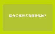 适合公寓养犬有哪些品种？