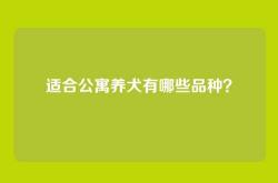 适合公寓养犬有哪些品种？