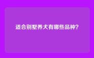 适合别墅养犬有哪些品种？