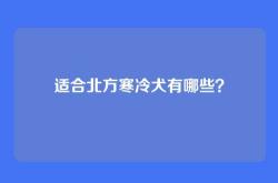 适合北方寒冷犬有哪些？