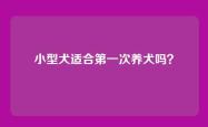 小型犬适合第一次养犬吗？