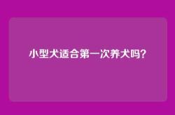 小型犬适合第一次养犬吗？
