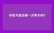 中型犬适合第一次养犬吗？