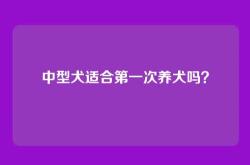 中型犬适合第一次养犬吗？