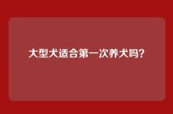 大型犬适合第一次养犬吗？