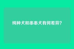 纯种犬和串串犬有何差异？