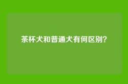 茶杯犬和普通犬有何区别？