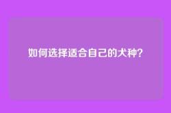 如何选择适合自己的犬种？