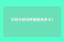 不同犬种饲养难度有多大？