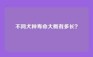不同犬种寿命大概有多长？