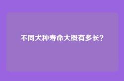 不同犬种寿命大概有多长？