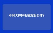不同犬种掉毛情况怎么样？