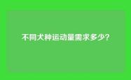 不同犬种运动量需求多少？