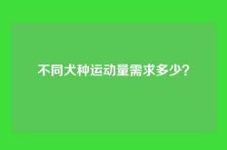 不同犬种运动量需求多少？