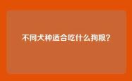 不同犬种适合吃什么狗粮？