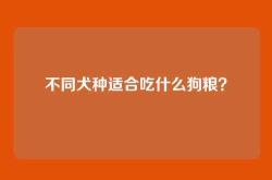 不同犬种适合吃什么狗粮？
