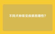 不同犬种常见疾病有哪些？