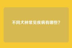 不同犬种常见疾病有哪些？