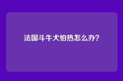 法国斗牛犬怕热怎么办？