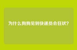 为什么狗狗见到快递员会狂吠？