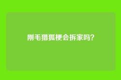 刚毛猎狐梗会拆家吗？