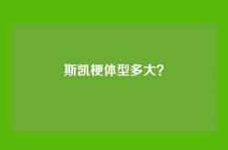 斯凯梗体型多大？