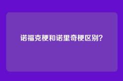 诺福克梗和诺里奇梗区别？