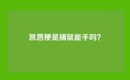 凯恩梗是捕鼠能手吗？