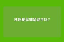 凯恩梗是捕鼠能手吗？