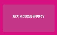 意大利灵缇跑得快吗？