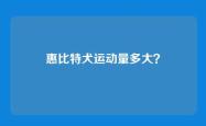 惠比特犬运动量多大？