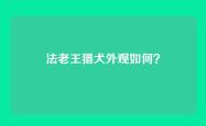 法老王猎犬外观如何？