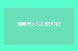 葡萄牙水犬会游泳吗？