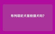 布列塔尼犬是枪猎犬吗？