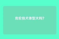 克伦伯犬体型大吗？