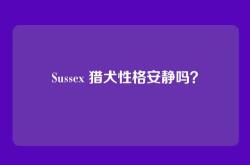 Sussex 猎犬性格安静吗？