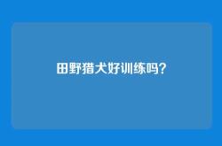 田野猎犬好训练吗？