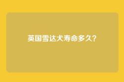英国雪达犬寿命多久？