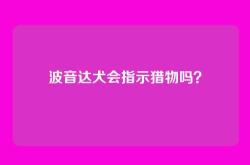 波音达犬会指示猎物吗？