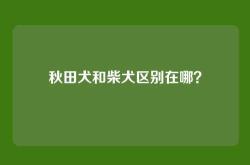 秋田犬和柴犬区别在哪？