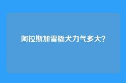 阿拉斯加雪橇犬力气多大？