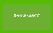 金毛寻回犬温顺吗？