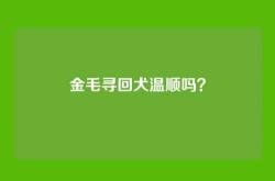 金毛寻回犬温顺吗？