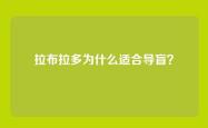 拉布拉多为什么适合导盲？