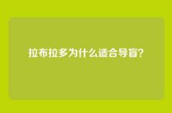 拉布拉多为什么适合导盲？