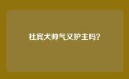 杜宾犬帅气又护主吗？