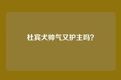杜宾犬帅气又护主吗？