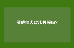 罗威纳犬攻击性强吗？